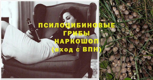 a pvp Саяногорск