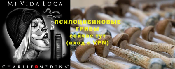 mix Зерноград
