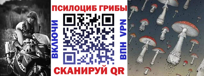 Купить где  Валдай  Галлюциногенные грибы ЛСД 