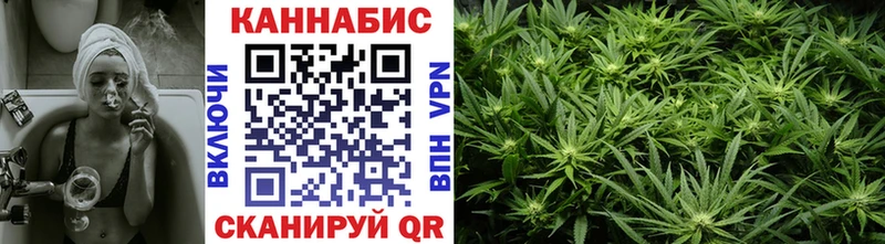 Каннабис ГИДРОПОН  Купить где  Валдай 
